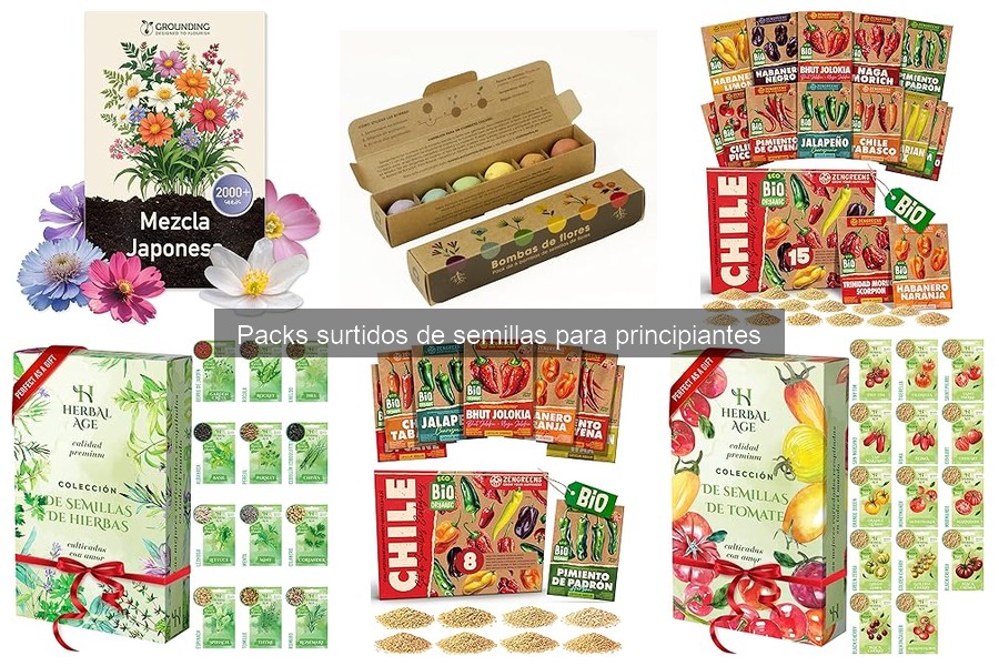 Comparativa de Packs de Semillas para Principiantes