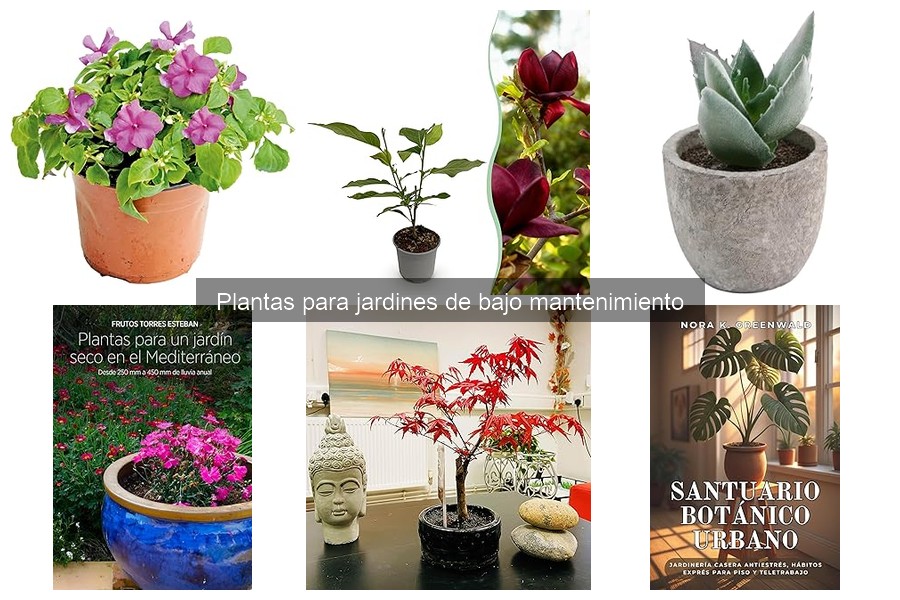 Comparativa de Plantas Autóctonas de Bajo Mantenimiento
