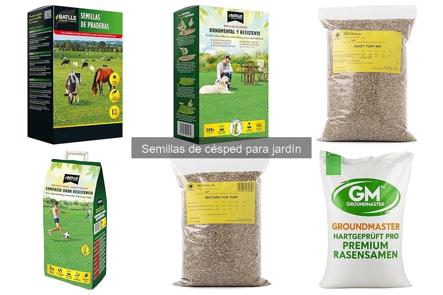 Comparativa de Semillas de Césped: Mejores Marcas y Características