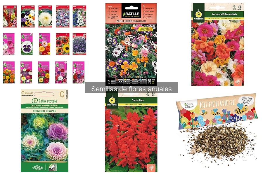 Comparativa de semillas de flores anuales resistentes