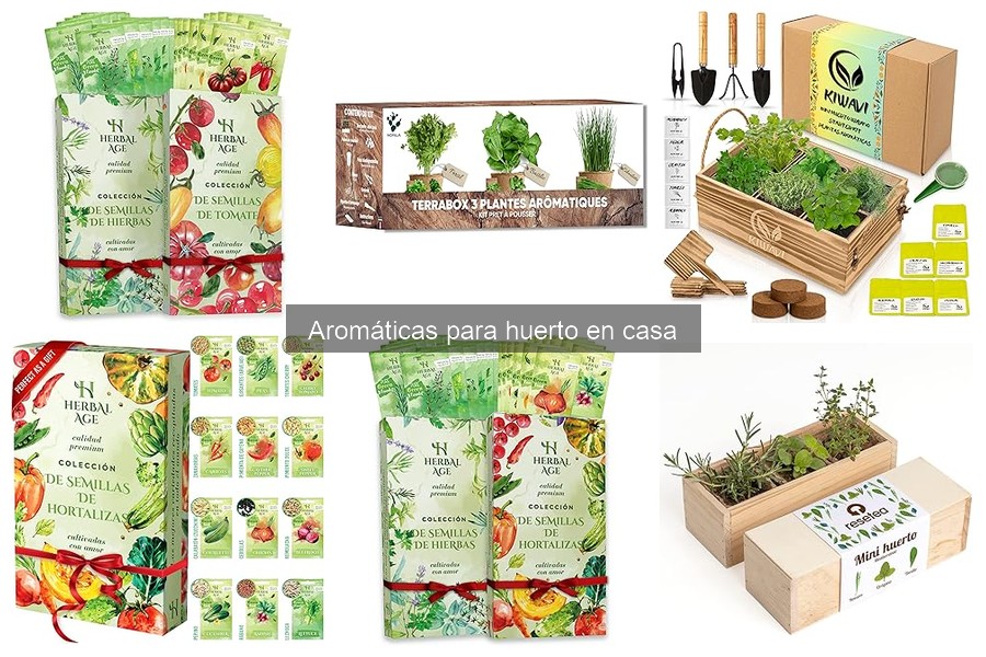 Comparativa de Semillas de Hierbas Aromáticas para tu Huerto