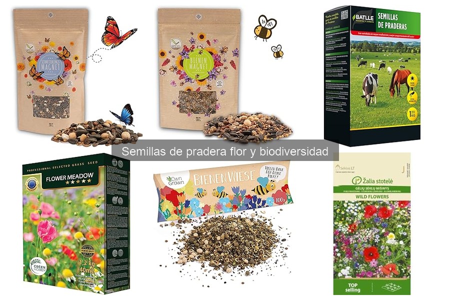 Comparativa de semillas de pradera floral: variedades y ventajas