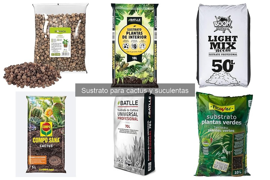 Comparativa de Sustratos para Cactus: Mejores Marcas y Tipos