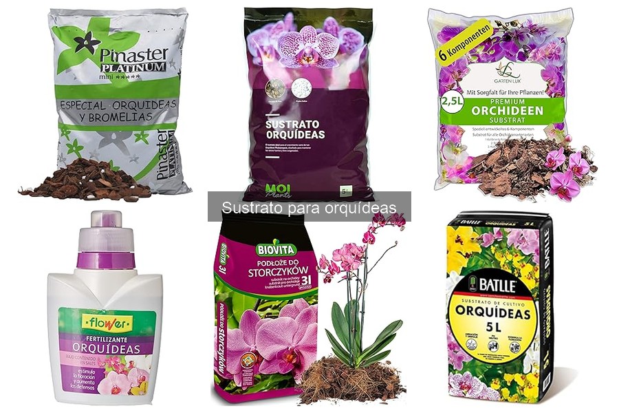 Comparativa de sustratos para orquídeas y otras plantas