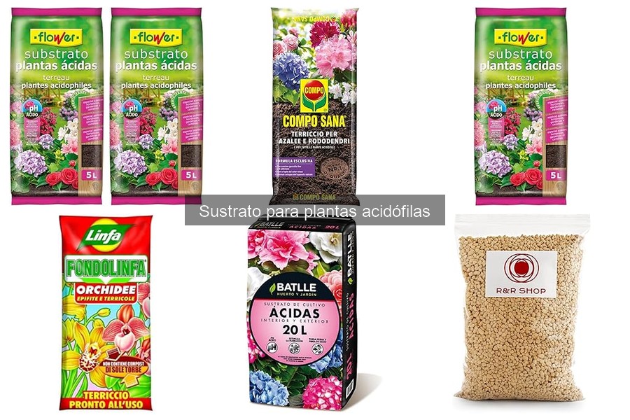 Comparativa de sustratos para plantas acidófilas