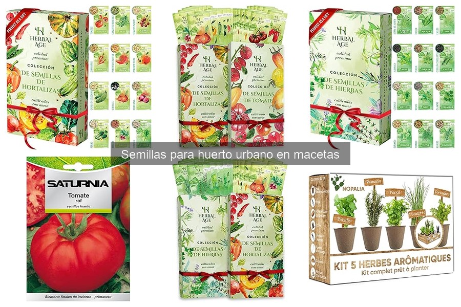 Comparativa de tamaños de macetas para semillas de huerto