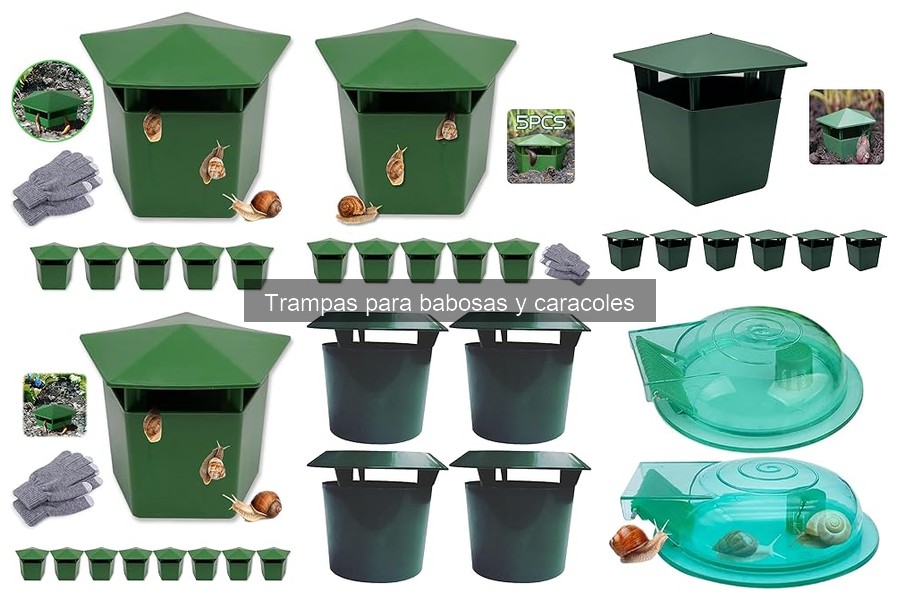 Comparativa de trampas para babosas y caracoles efectivas