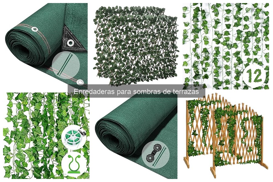 Comparativa: Enredaderas Trepadoras vs Colgantes para Sombra