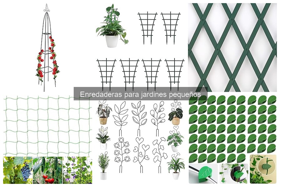 Comparativa: Enredaderas trepadoras vs rastreras para jardines pequeños