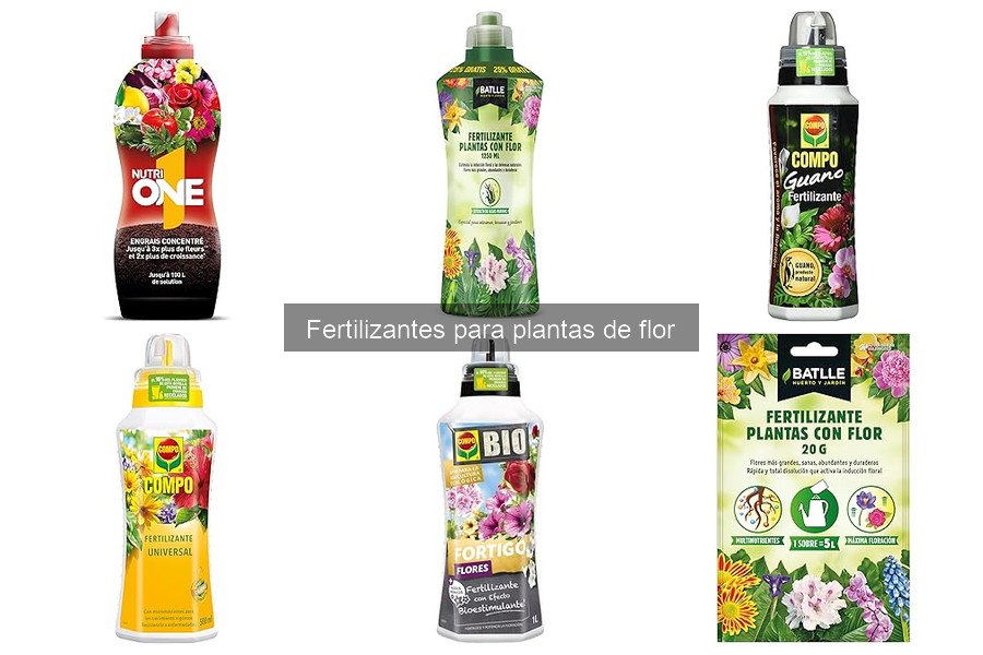 Comparativa: Fertilizantes líquidos vs granulares para plantas de flor