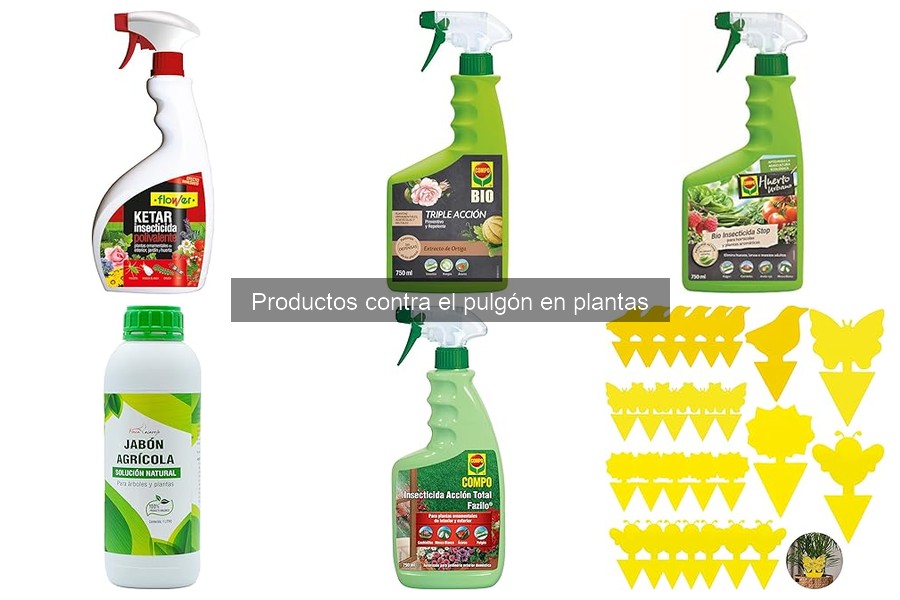 Comparativa: Insecticidas Químicos vs Soluciones Naturales para Pulgones