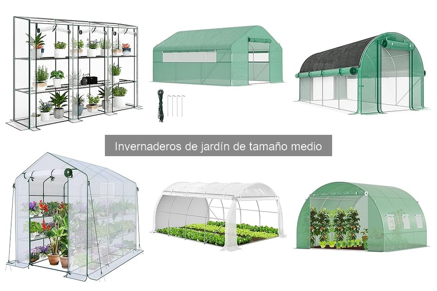 Comparativa: Invernaderos de jardín medio vs pequeños