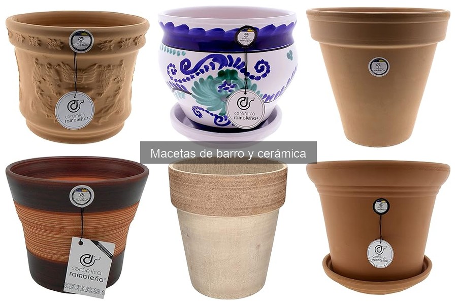 Comparativa: Macetas de Barro vs. Macetas de Plástico