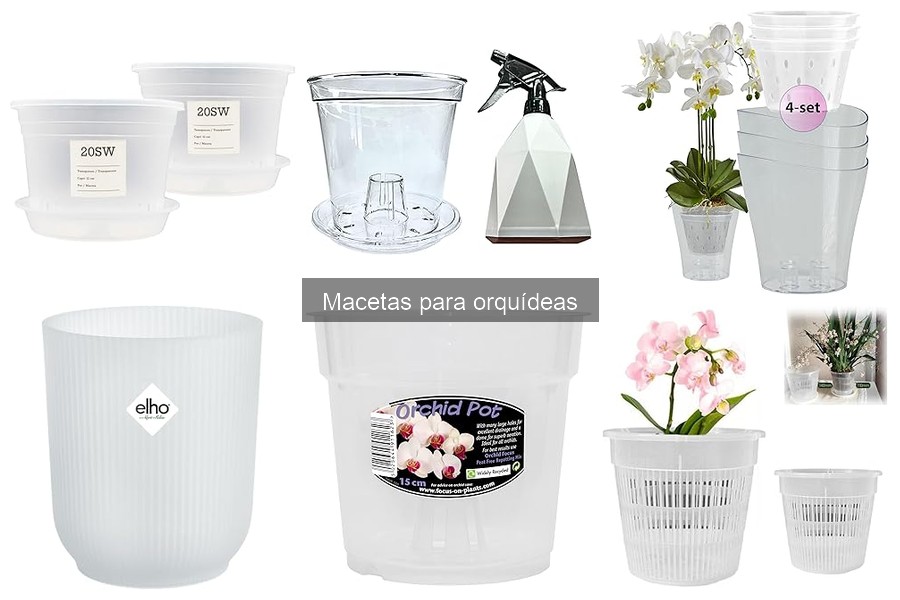 Comparativa: Macetas de Plástico vs. Barro para Orquídeas