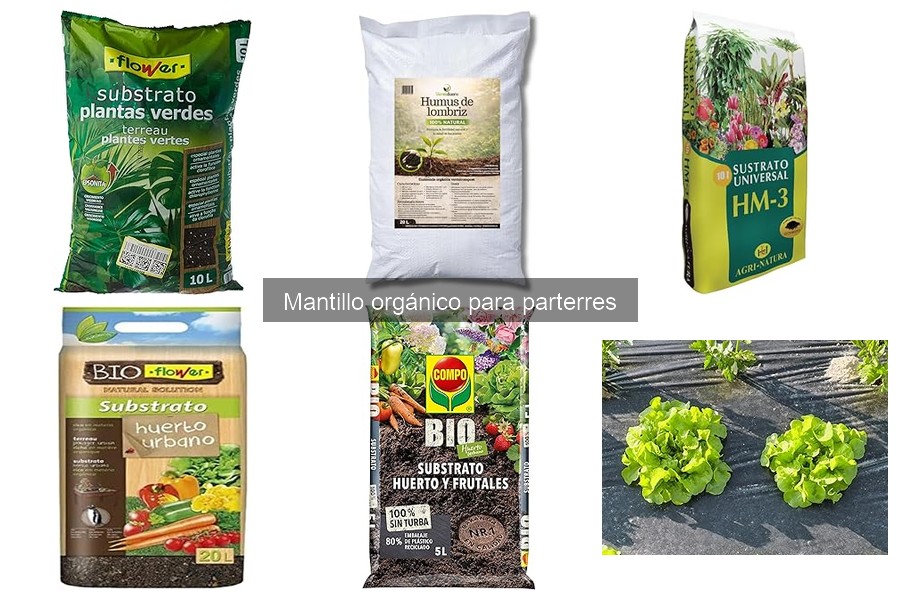 Comparativa: Mantillo Orgánico vs Sintético para Jardín