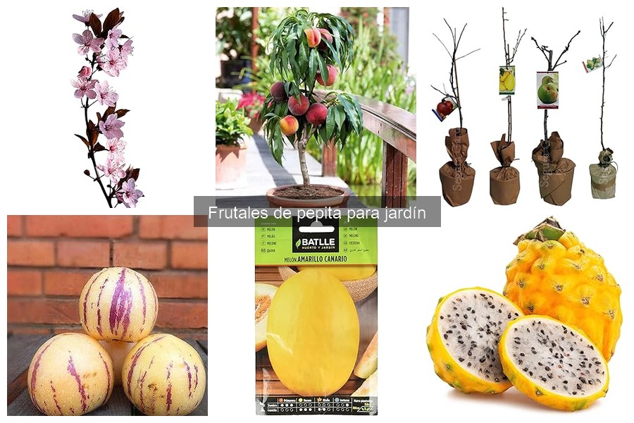 Comparativa: Manzanos vs Perales como Frutales de Pepita