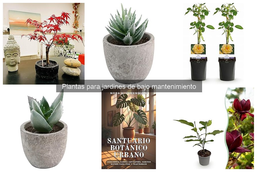 Comparativa: Plantas Perennes vs Anuales para Jardines