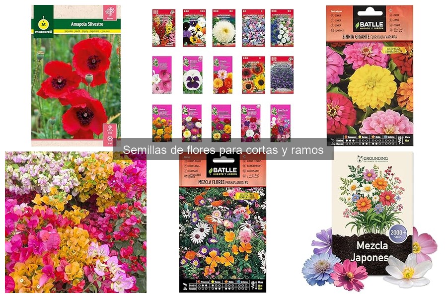 Comparativa: Semillas de Flores Anuales vs Perennes