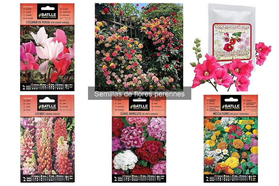 Comparativa Semillas de Flores Perennes vs Anuales