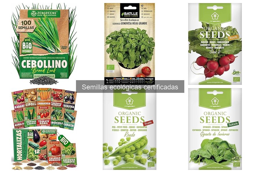 Comparativa: Semillas Ecológicas vs. Semillas Convencionales