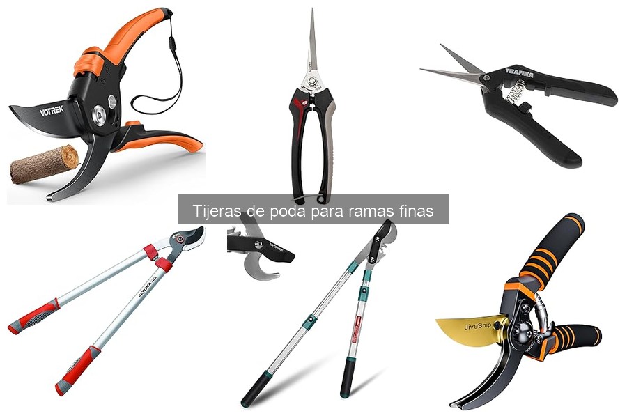 Comparativa: Tijeras de Poda Manuales vs Eléctricas para Ramas Finas