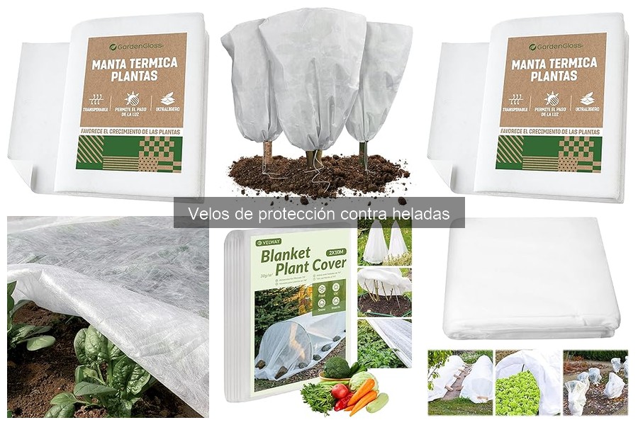 Comparativa: Velos de Protección contra Heladas vs. Otras Soluciones
