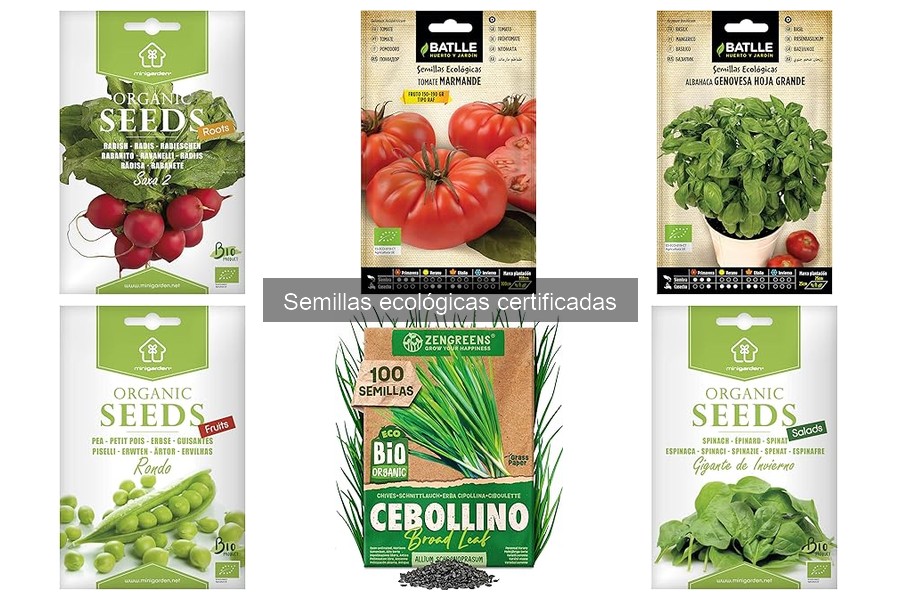 Consejos para almacenar semillas ecológicas correctamente