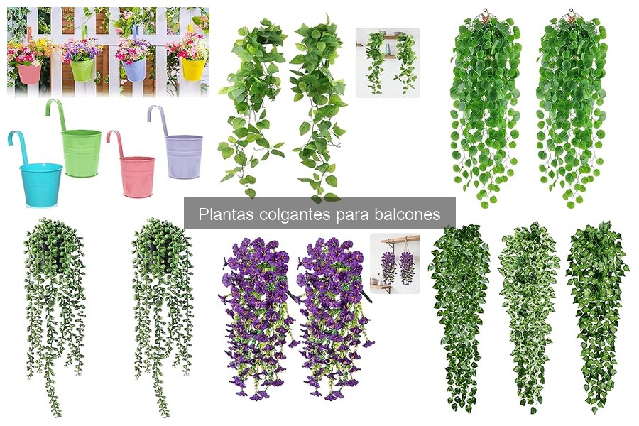 Consejos para Disposición de Plantas Colgantes en Balcones