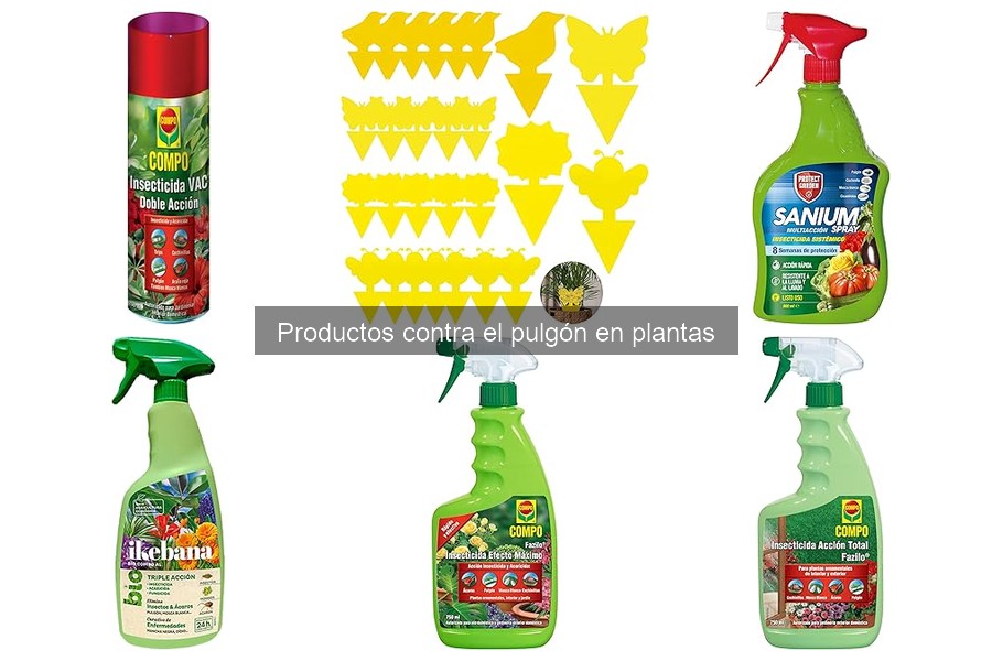 Consejos para el Mantenimiento de Plantas Afectadas por Pulgones