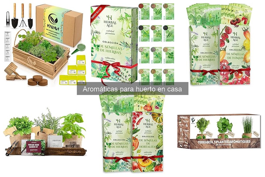 Consejos para iniciar tu huerto de hierbas aromáticas