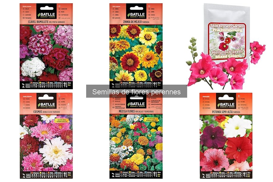 Consejos para la Rotación de Cultivos con Flores Perennes