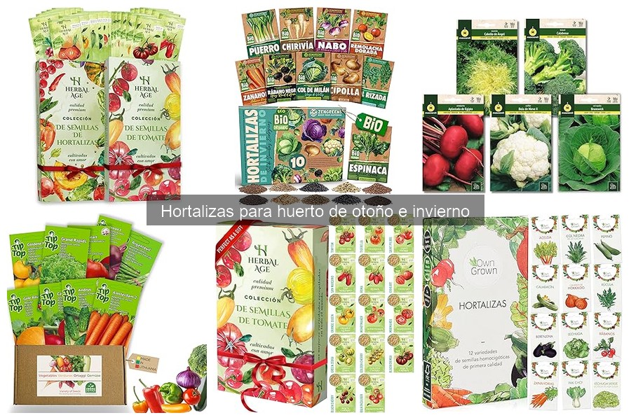 Consejos para Mantener Hortalizas en Invierno en tu Huerto