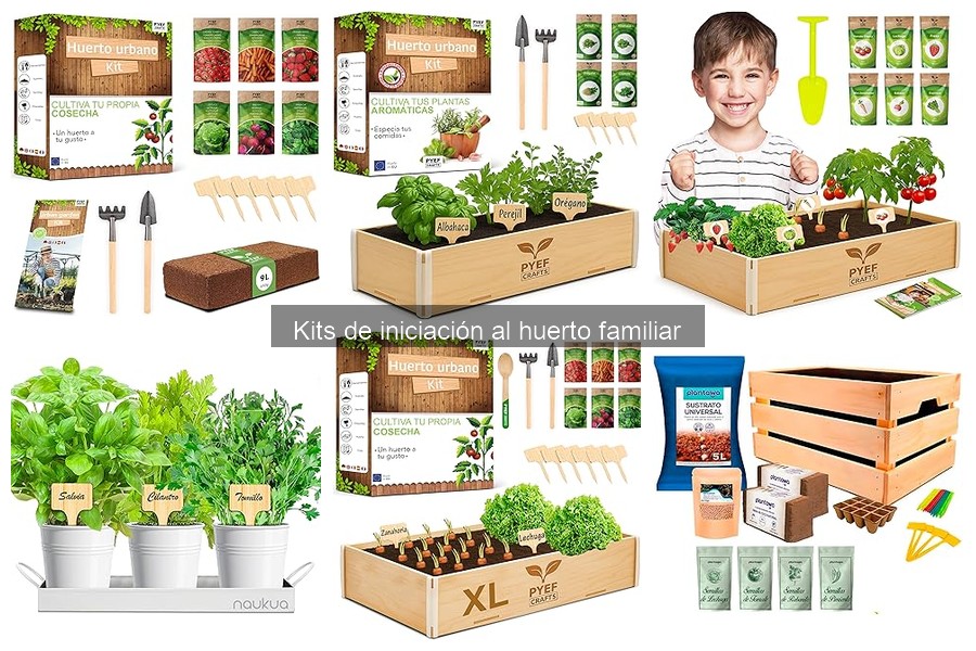 Consejos para Mantener un Huerto Iniciado con un Kit