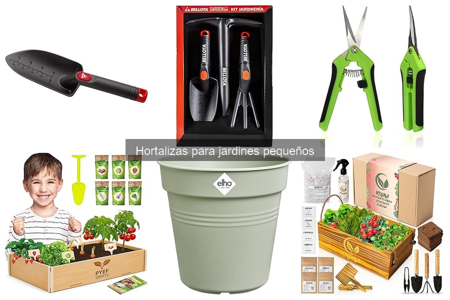 Consejos para Riego Eficiente de Hortalizas en Jardines Pequeños