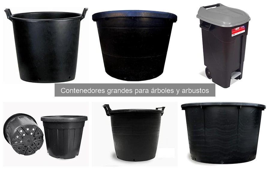 Consejos para usar y mantener contenedores grandes para árboles