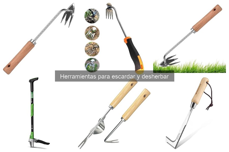 Consejos Prácticos para Escardar en Terrenos Difíciles