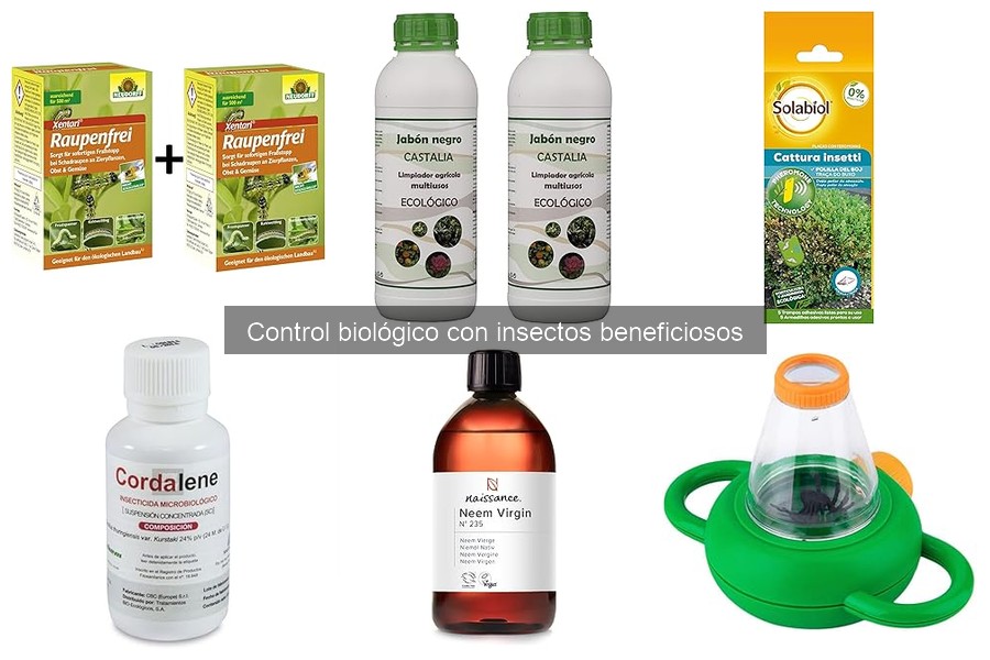 Control Biológico con Insectos Beneficiosos: ¿Qué es?