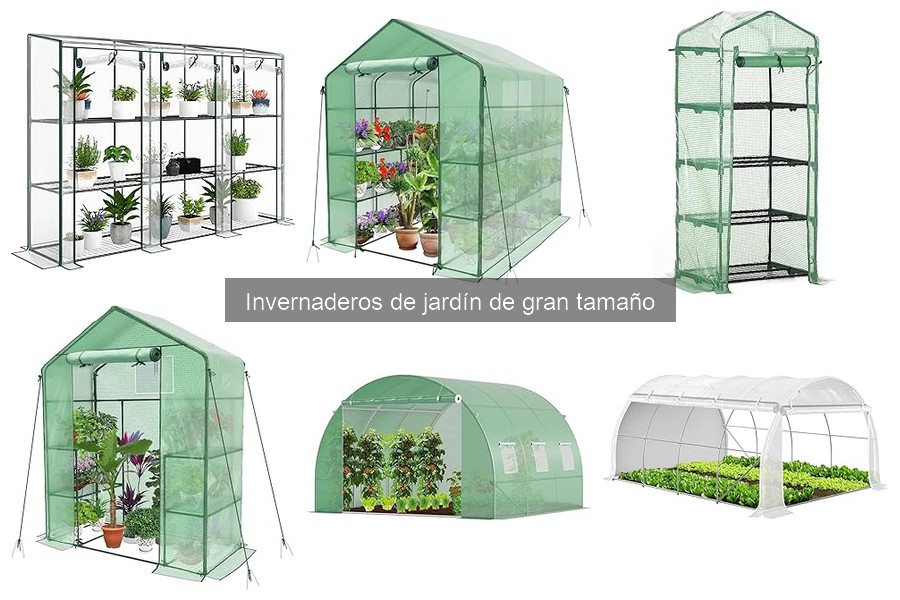Costes de compra y mantenimiento de invernaderos grandes