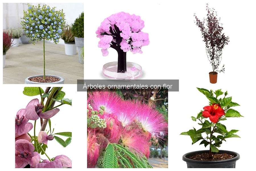 Costos de Árboles Ornamentales con Flor: Precios y Factores