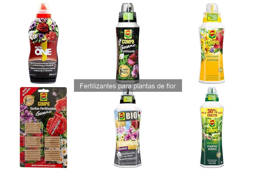 ¿Cuándo aplicar fertilizante a las plantas de flor?