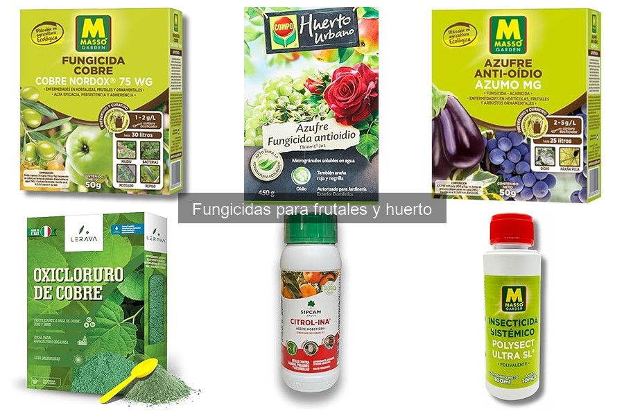 ¿Cuándo aplicar fungicidas en frutales? Guía práctica
