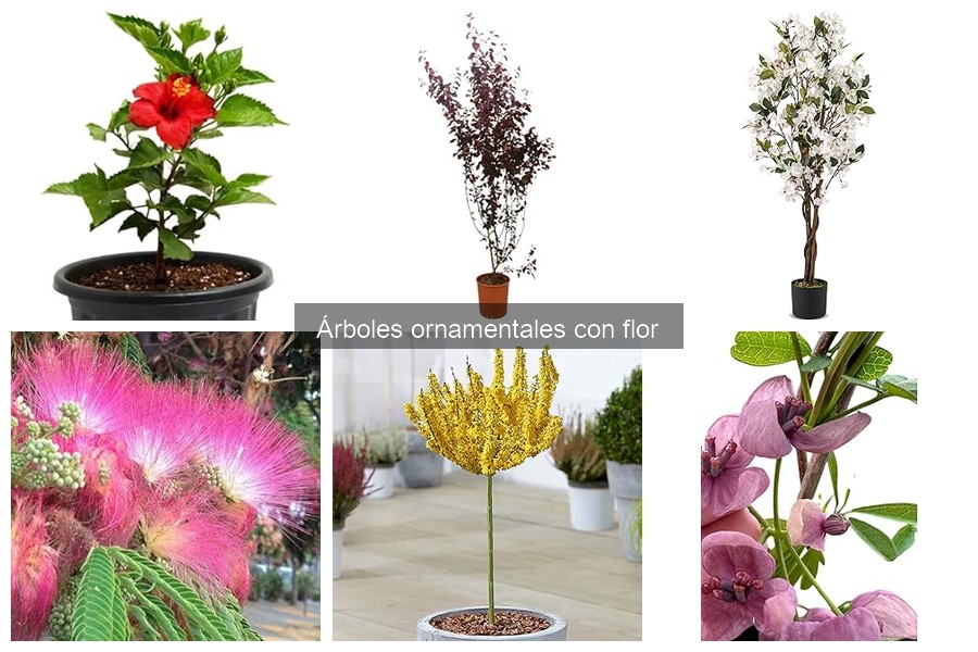 Cuándo plantar árboles ornamentales con flor: guía completa