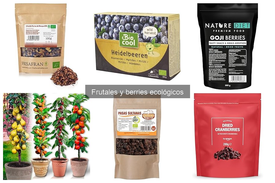 Cuándo plantar frutales ecológicos según tu región
