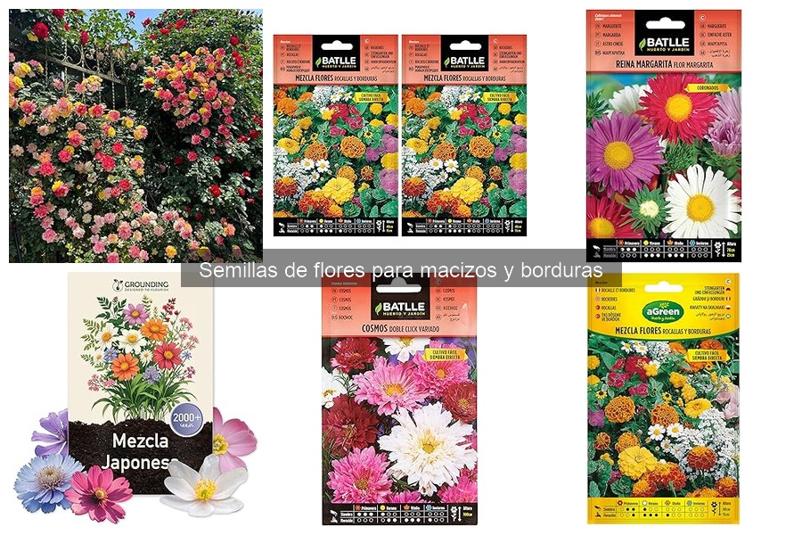 Cuándo sembrar semillas de flores para macizos y borduras
