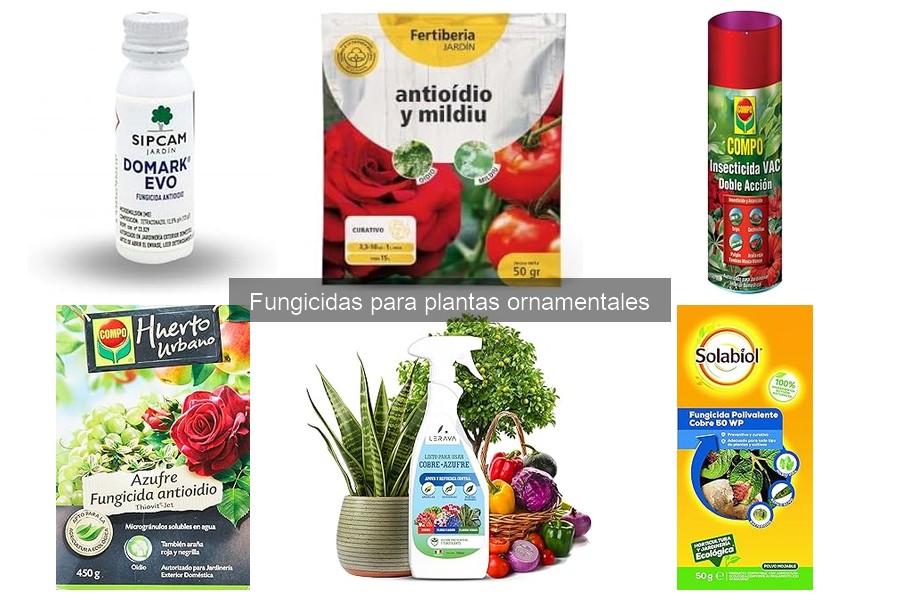 ¿Cuándo usar fungicidas en plantas ornamentales? Consejos prácticos