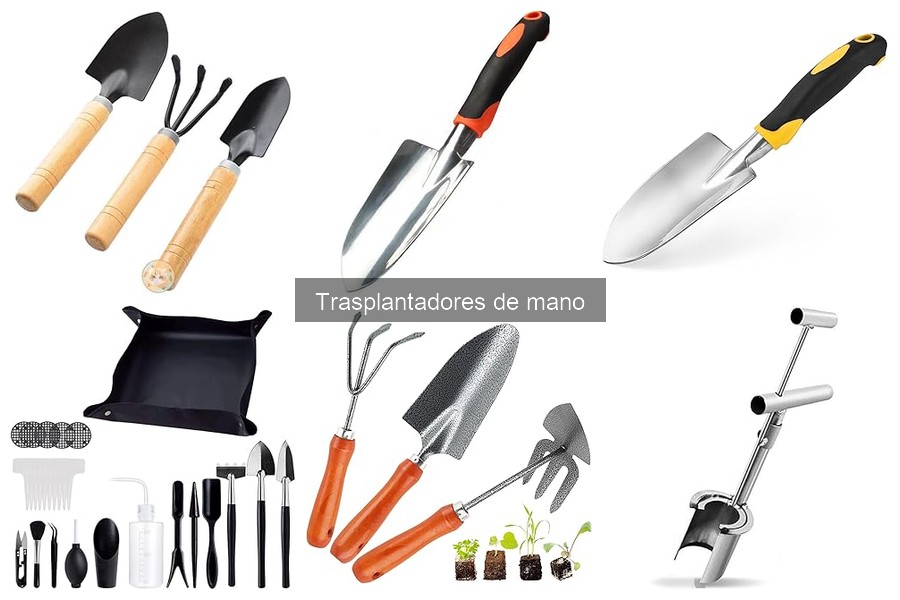 ¿Cuándo usar un trasplantador de mano? Momentos clave