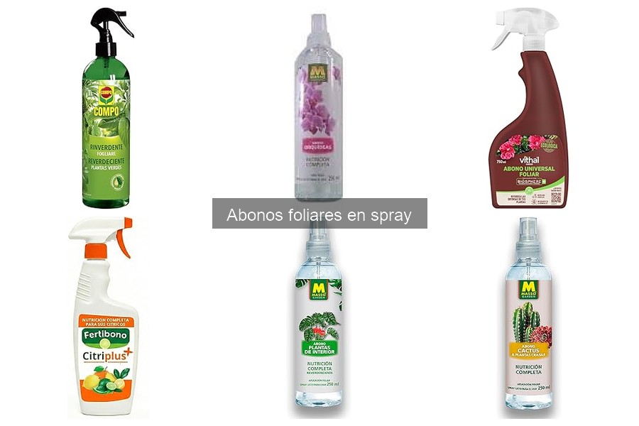 Cuándo y cómo aplicar abonos foliares en spray
