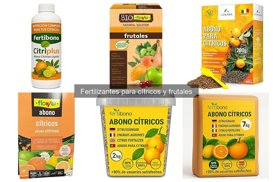 Cuándo y cómo fertilizar cítricos: guía práctica