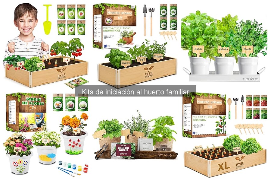 ¿Cuánto cuesta un kit de iniciación al huerto familiar?