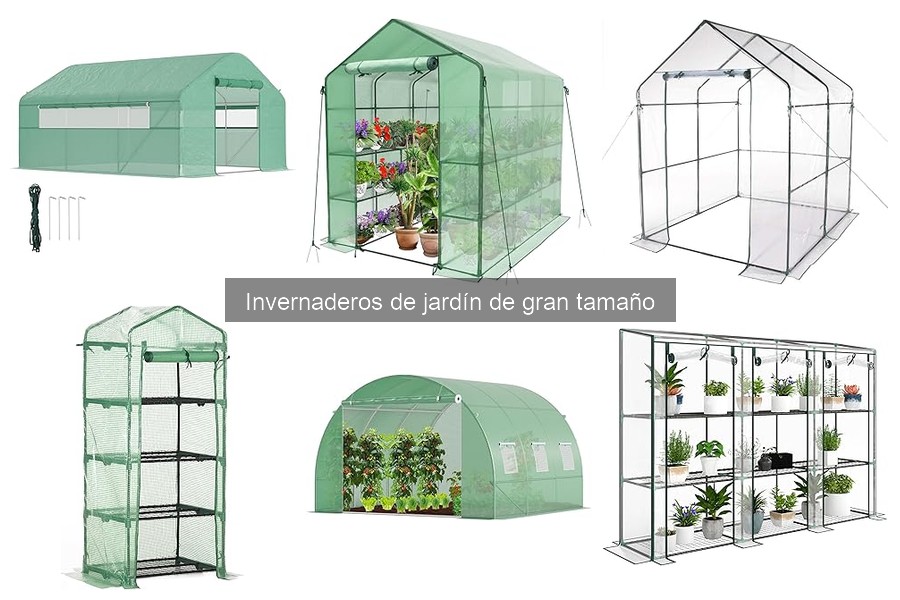 ¿Cuánto espacio se necesita para un invernadero grande?